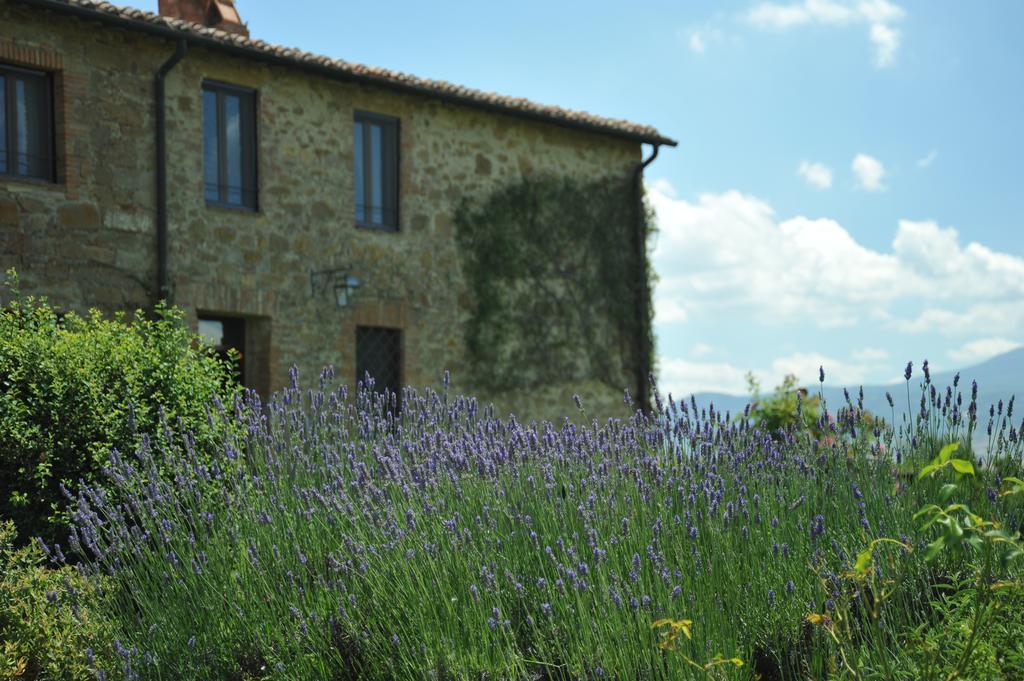 L'Olmo Bed and Breakfast Monticchiello Εξωτερικό φωτογραφία